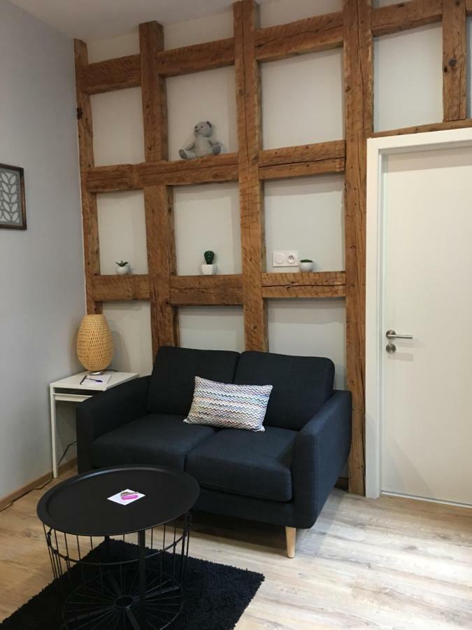 שטרסבורג Les Appartements De L'Epine מראה חיצוני תמונה